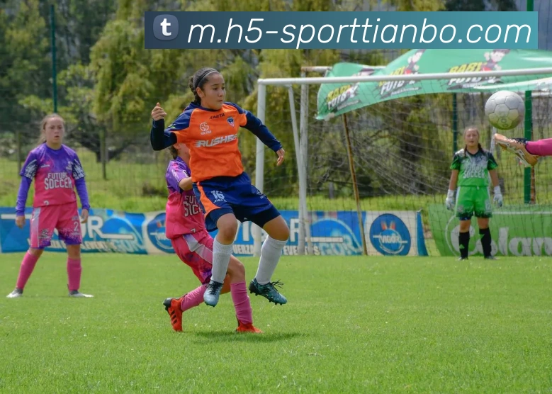 App Interface Preview